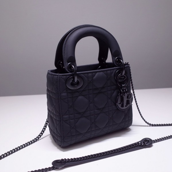 Christian Dior Matte Diablo bag
