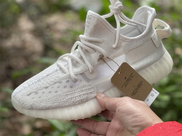 Adidas Yeezy Boost 350 V2 Bone HQ6316