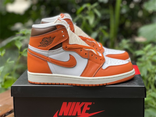 Jordan 1 Starfish Shattered Backboard DO9369-101