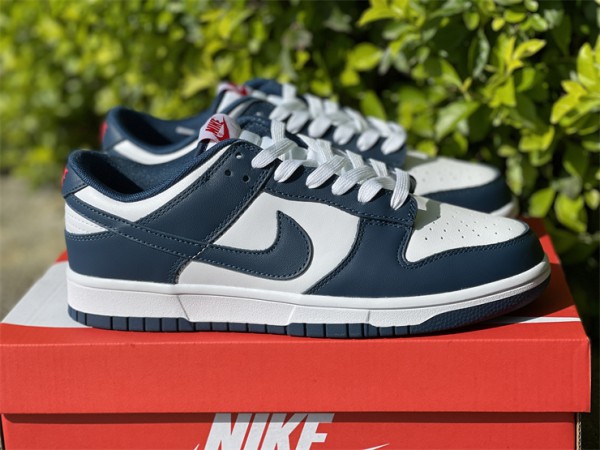 Nike Dunk Low Valerian Blue DD1391-400