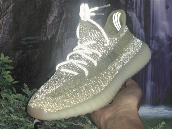 Adidas Yeezy Boost 350 V2 Antlia Reflective FV3255 