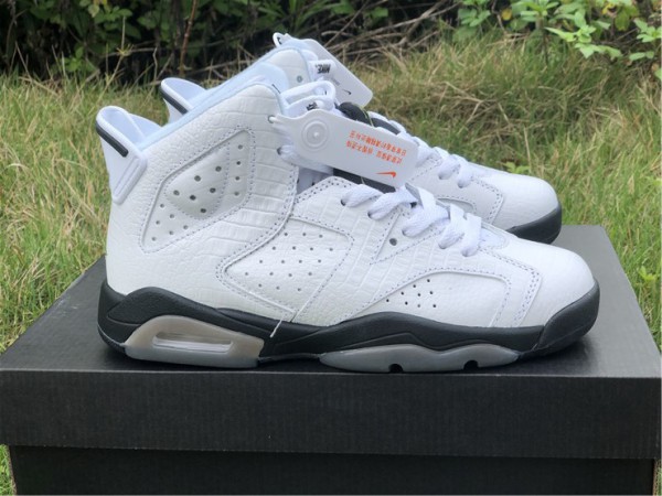 Jordan 6 Retro Alligator (GS) 384665-110 
