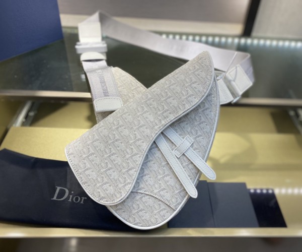 Christian Dior presbyoipa Sadde bag