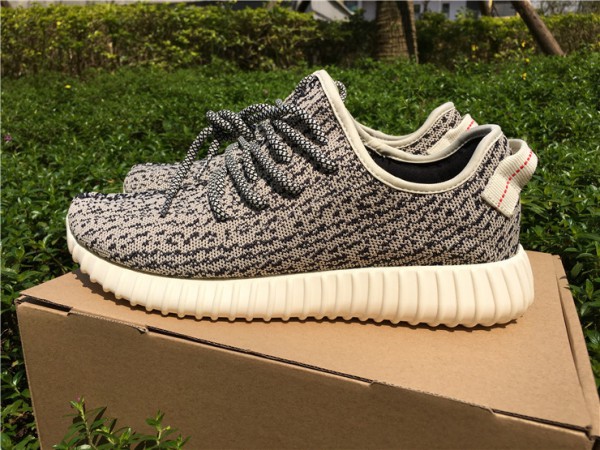 Adidas Yeezy 350 Boost "Turtledove" (AYZ0004)