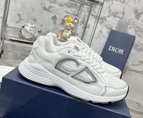 Dior B30 Sneaker White Grey