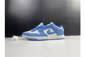 Nike Dunk Low Coast (W) DD1503-100