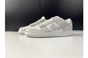 Nike Dunk Low Photon Dust DD1503-103