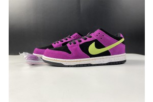 Nike Dunk SB Low Pro ACG Terra Red Plum BQ6817-501