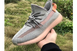 Adidas Yeezy Boost 350 V2 True Form EG7492