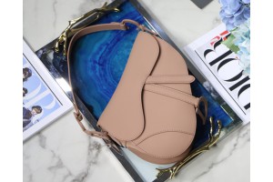 Christian Dior Sadde bag with jumgle gilf box