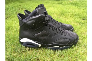Air Jordan 6 Retro "Black Cat" 384664-020