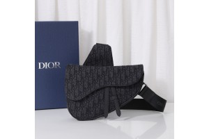 Christian Dior Oblique Saddle Men Bag