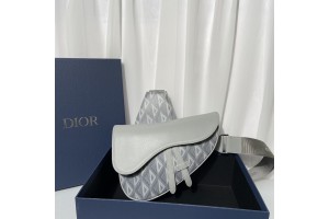 Christian Dior Saddle Crossbody Bag CD Diamond Canvas and Smooth Calfskin