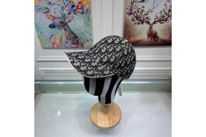 Dior Caps (CAP-DR-A13)