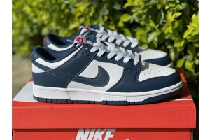 Nike Dunk Low Valerian Blue DD1391-400