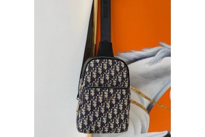 Dior Shoulder Bag 6087