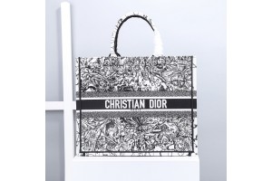 Dior Book Tote White Dior Constellation Embroidery