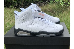 Jordan 6 Retro Alligator (GS) 384665-110 