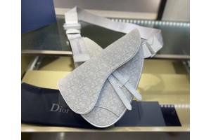 Christian Dior presbyoipa Sadde bag