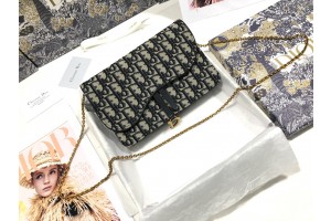 Christian Dior Saddle Oblique print chain clutch