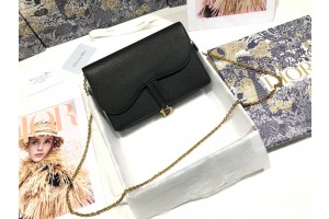 Christian Dior Saddle print chain clutch